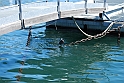 Lago di Como_257